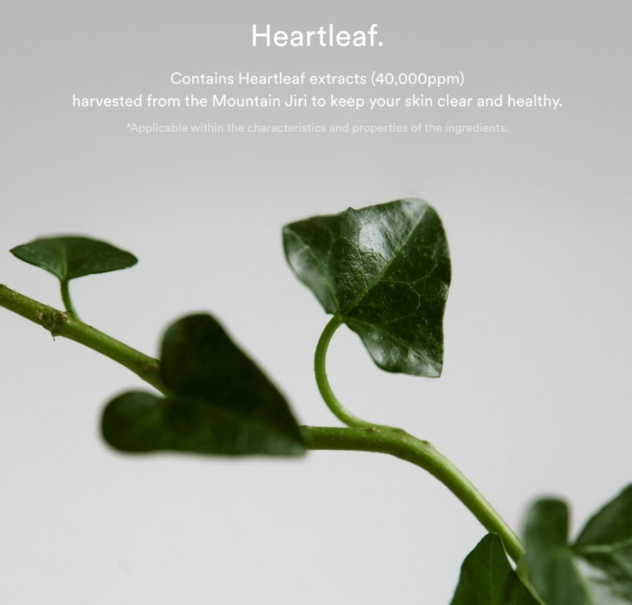 【Abib】 Heartleaf spot pad Calming touch (large capacity) 250ml 140pads