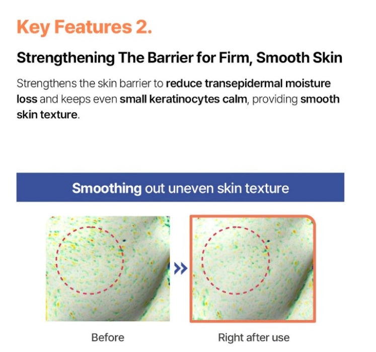 【Round LAB】 SOYBEAN PANTHENOL CEAM 1+1 / 80ml+80ml