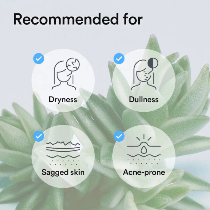 【Abib】Collagen Gel Mask Sedum Jelly (1 Box / 10 Sheets)