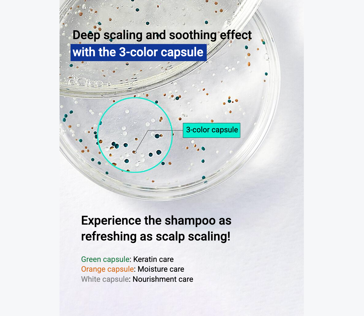 【LABO-H】 Hair Loss Care Shampoo (Scalp cooling) / 400ml