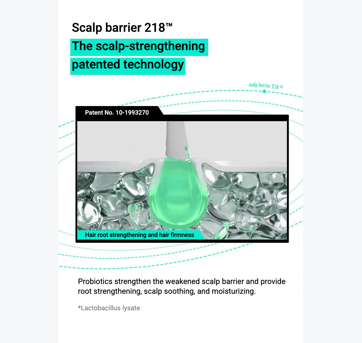 【LABO-H】 Hair Loss Care Shampoo (Scalp cooling) / 400ml