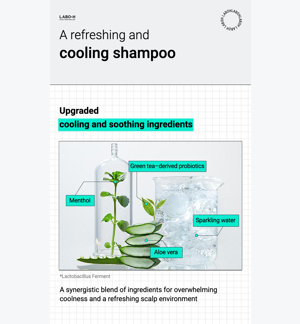【LABO-H】 Hair Loss Care Shampoo (Scalp cooling) / 400ml