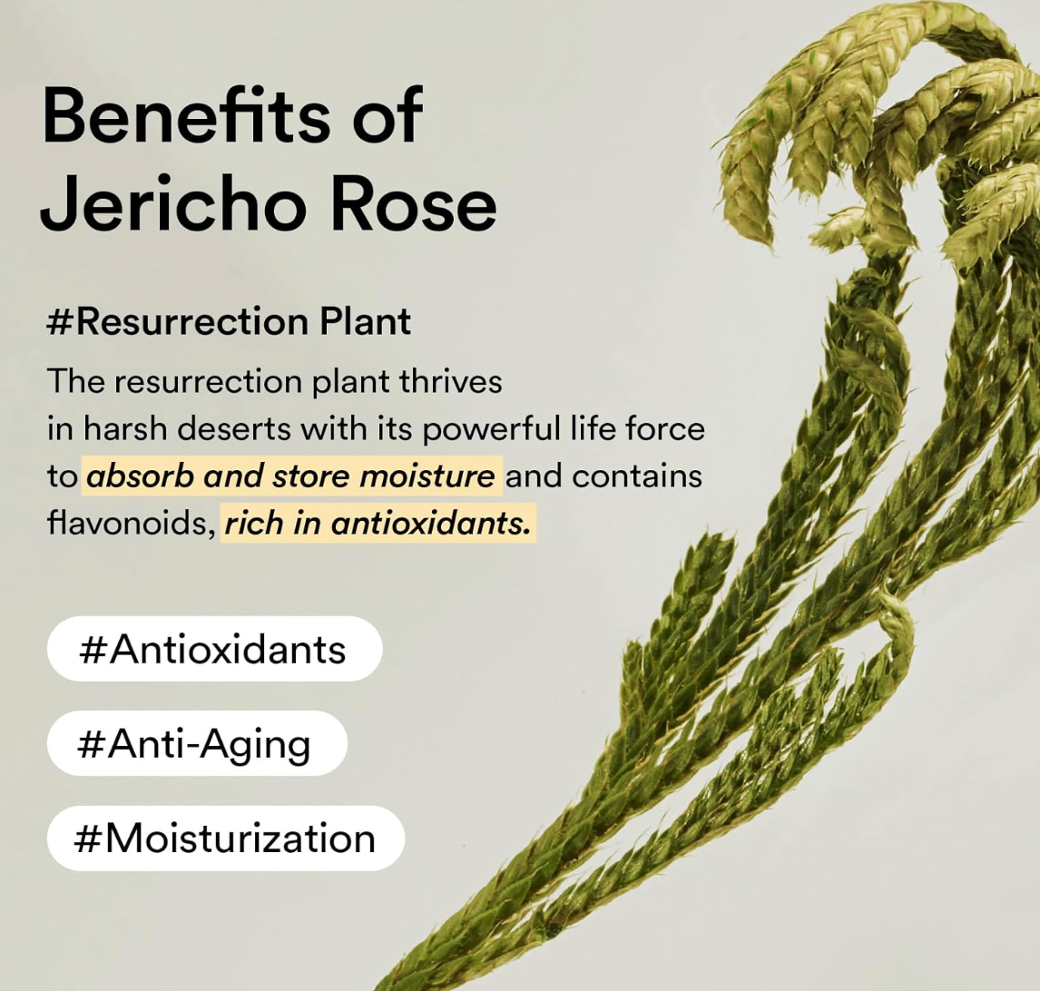 #AbibEyeCream #JerichoRose #DarkCircleRelief #CollagenEyeCare #BakuchiolCream #KbeautyEyeCare #PuffinessReduction #AntiAgingEyeCream #SensitiveSkinCare #SeoulHeraldSilver
