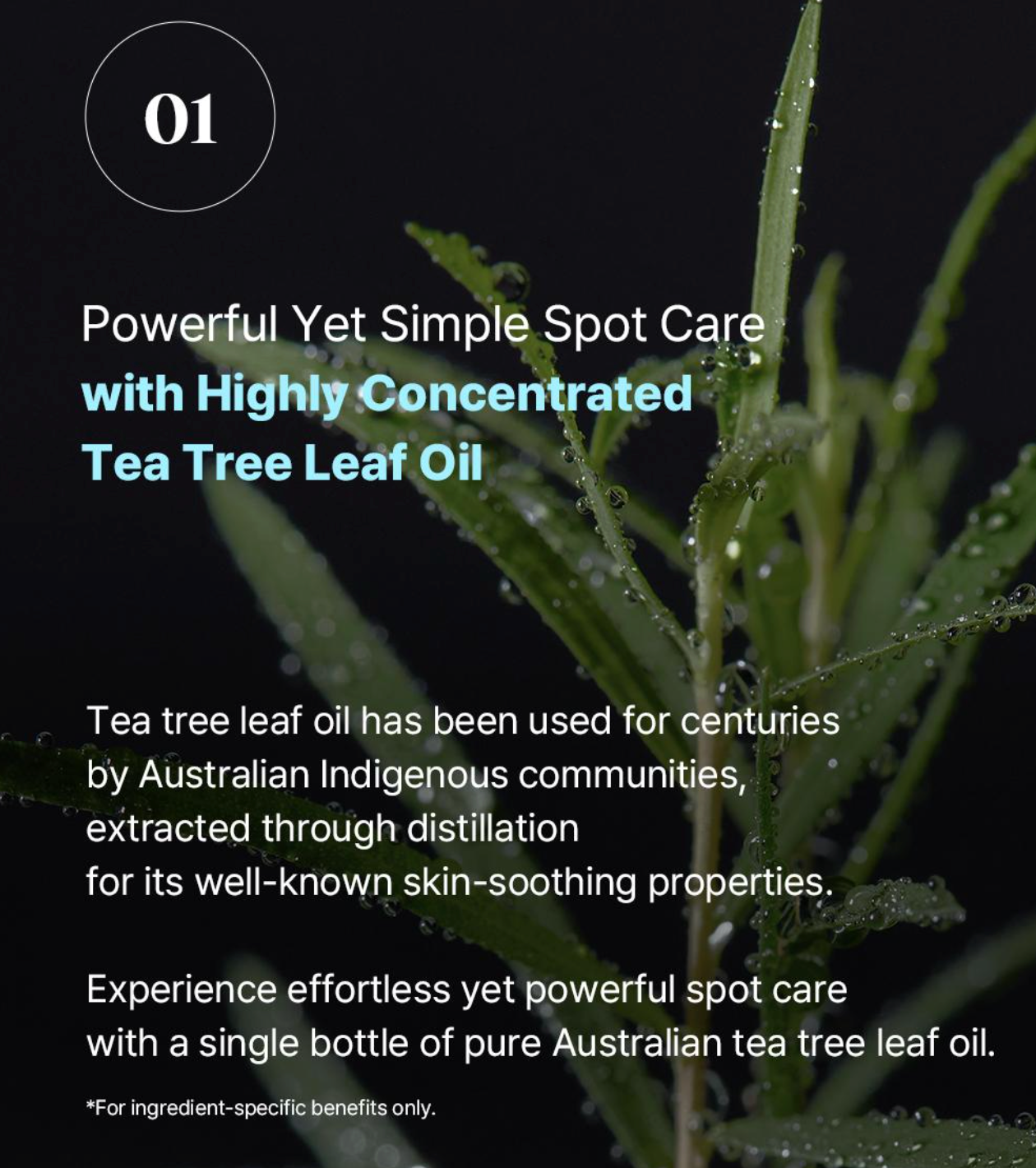 essenHERB Tea Tree 100 Oil Special Set (10ml + 10ml + 50P)