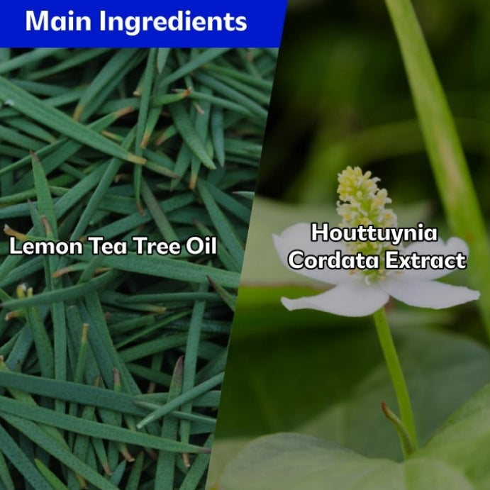 【ISOI】 ACNI Dr. 1st Control Serum 40ml+spot pad 4ea