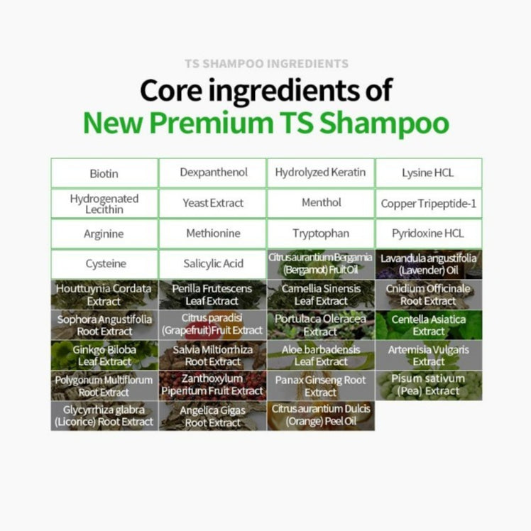 All New TS Shampoo 500g
